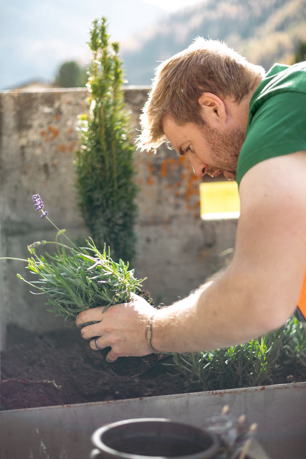 Gartenarbeiten